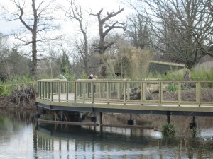 Dublin Zoo